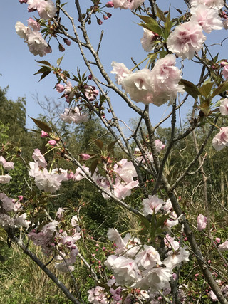 53f986d79aac4948a940b53a0607da56 53f986d79aac4948a940b53a0607da56