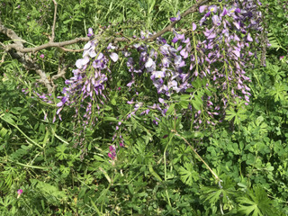 87af98f903c24bceb1b89a444bae33c3