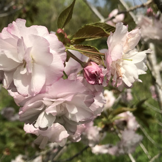 A36b752db4834251be1eca76ab21d0e7 A36b752db4834251be1eca76ab21d0e7