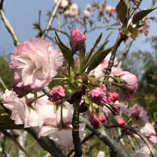 C2ddb50d9bfd45e199a0a16462b85a73 C2ddb50d9bfd45e199a0a16462b85a73