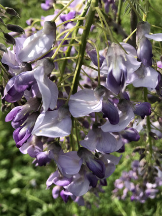 Cdf3de20c88c43d1968502296f3076b3