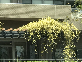 16a1ea2f74d94620b5d865f2accf1429