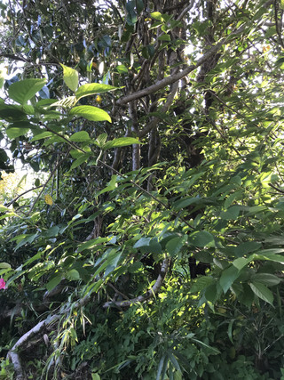 7fdadfaedfe94a1d951352c1b759e9b9