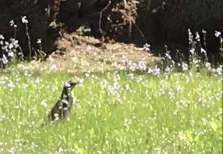 859a267a05ec428fa40ccd3c6a71ff4a