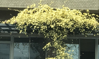 8fce8b08d755467d83693056225d78de