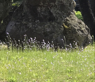 96277e384d244f0296c1ff0473199678