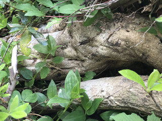 9e6c94504f0a4421a5974d5f89488df5