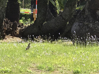 Ba7e11265d8f4de6ae8ed5c6a2637ef8