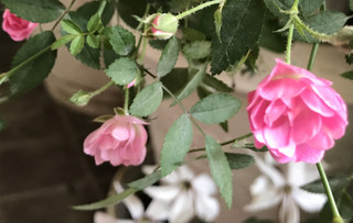 34cf34853d7942c1b0beebb1b4b29544