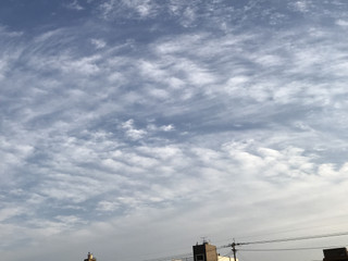 67236d50b4e74f32bad3c6ce5632ca3a