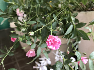 86616b3476c04affa0bd600b84139cff