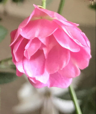 B1f7d026eb4b4d8eb01e008c9644dc1f