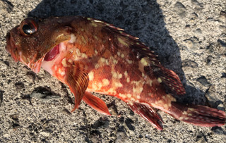 7644a983da634572a9191a66f2d0ebc0