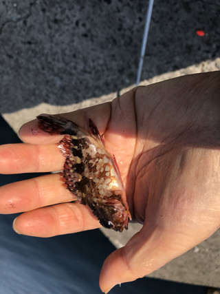 Ad675c85748f4e12835de8e0f2375a42