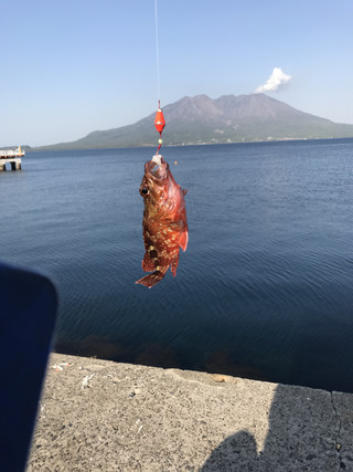 Cf523a7a001f4ed6932576fab8f7dd2f