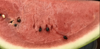 Dd42d5e340c447599824636eb3d1313e