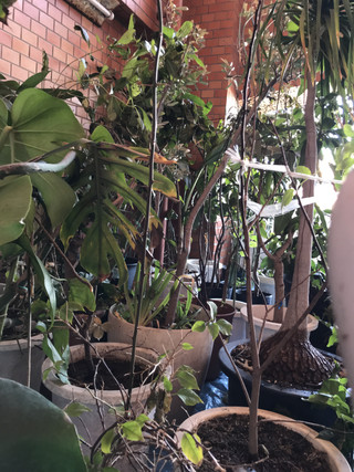 1bb8c4fb2ede4be985a8d6b159a4eb57