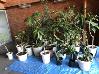 Be0e8b6ed0c64212bab2f5ccab032185