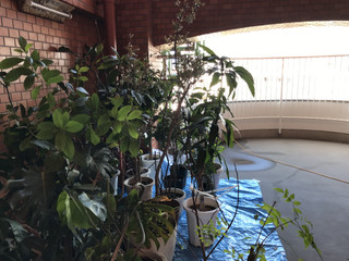 Eb6afc6a8c854e43840e514fac9d852a