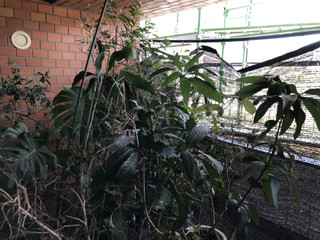 1f9aaf4d47744243b8453d4b0386ccf5