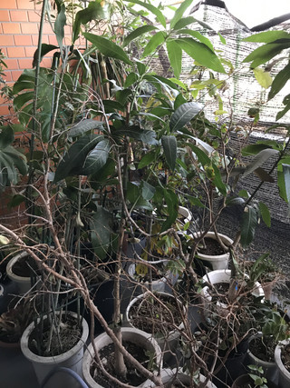 Af1c4e5c101b4a9b9d9c865065ed4fc8