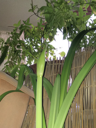 14cb24fa584f402eb709119e2d954675