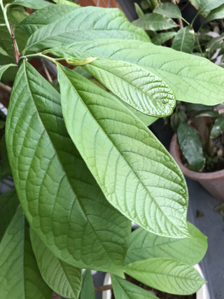 0b61491cdf03448798e9f96273313ded