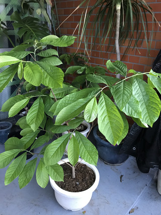 8b016d0bd64445348bf2e1da188d7b6a