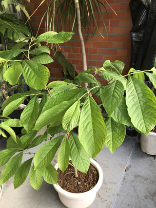 A9e50461b0824c34865fe8dc3e58d543