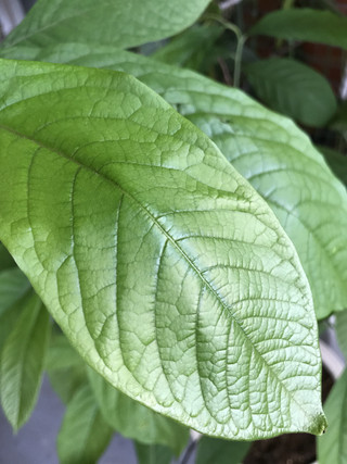 Abc1fa1532f44558a5f44cd4e11f64d7