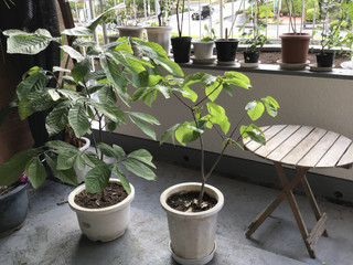 D8e9dae4259840da9de7ddc2e98452d9