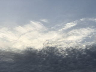 F77d833d4059489b91b4a7ac4c44ffff