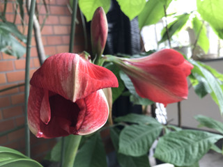 0f8b1747b2024043b3aad7e53bb34e5c