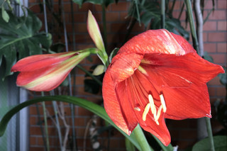 27c8e26cf3bd483f9125cda8f299d5fe