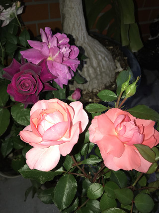 32b801aa3cef40869076ba1f0fa11fb0 32b801aa3cef40869076ba1f0fa11fb0