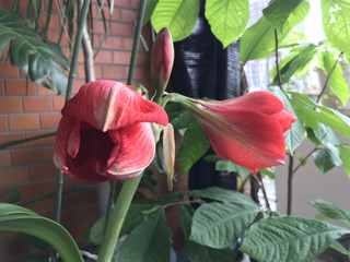 406e149c36774315aa5682142ea8ea94