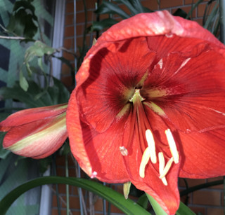 52be2b11cb6045e389509a6d5a521571