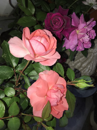 57b464b1799f4a379dd1469b3765166d 57b464b1799f4a379dd1469b3765166d