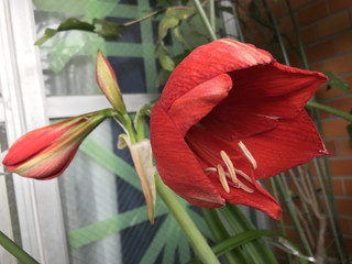 9ee9fdcd47094adfbc2b6060179e837a