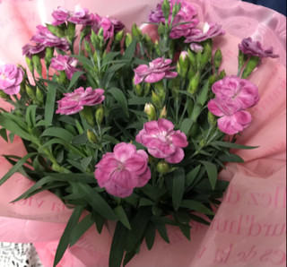 D1ebb3a5634a45d9a41766017233c030