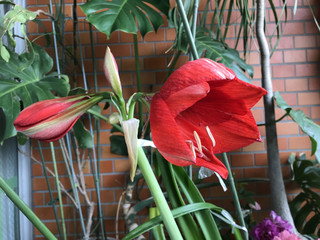 E2ae8d6c602f4d36939b6ab07b4e10da