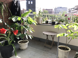 E6e04449d11f4a829e42ecffd1982288