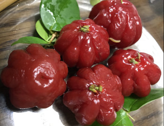 F8a09dd55bbf4ab699857e989d29ee87