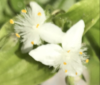 0af063444a174256aad7ea2c8dcee374