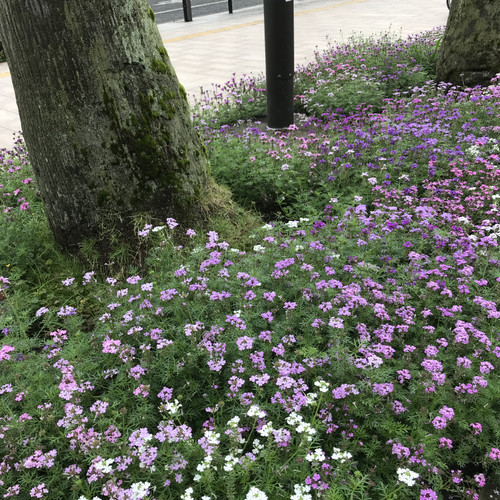 2d364619da674835a57d9d7306d0a143