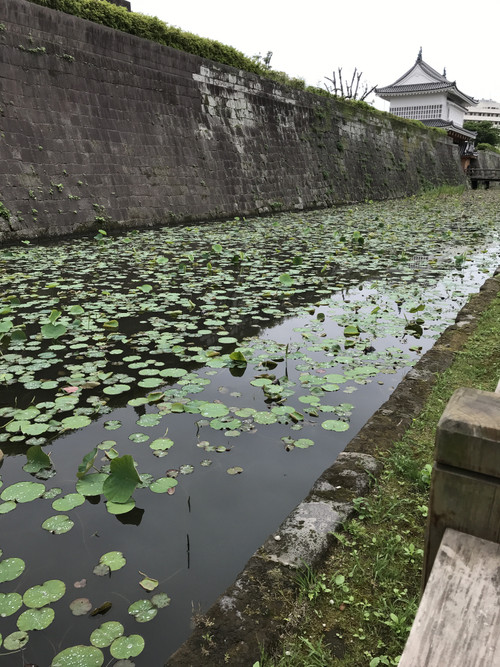 3c81b37629174699bfc97bfe0e6c7185