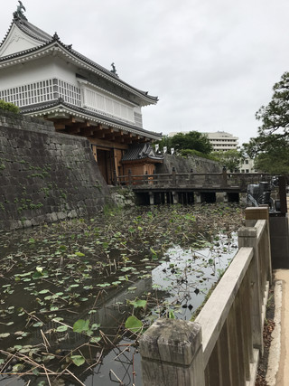 A515904a0f1341c9bda1a14649a7a615