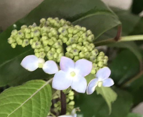 0be832bda2a14f1f8a4b76e446afdc29