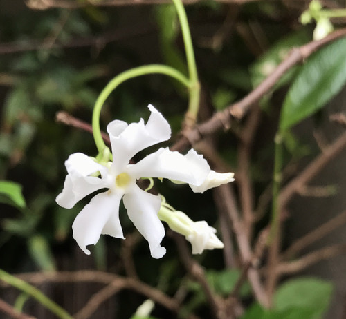 14057976a95641b3bcb5f9e48fc579de