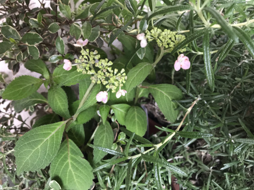 502b13f833174cba97f30d2c432500a6